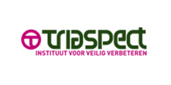 logo-triaspect-300×168-300×168