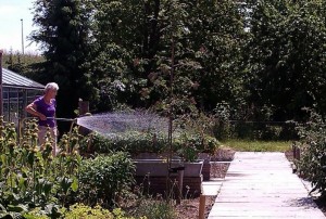 Frieda-watert-de-tuin